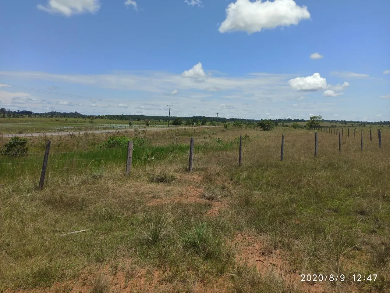 Farm for sale of 2,582 acres in Alto Alegre, RR, Brazil