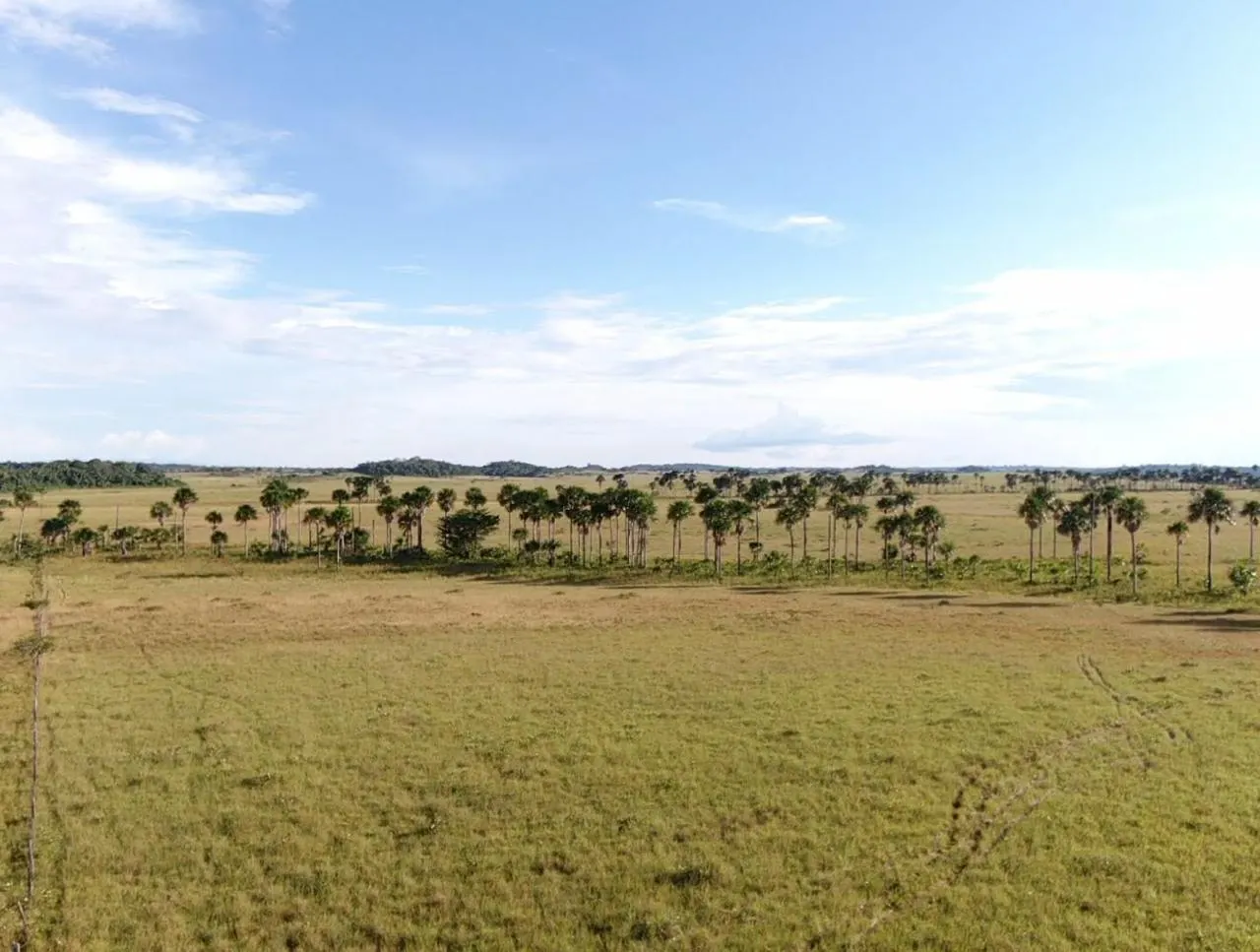 Farm for sale of 2,582 acres in Alto Alegre, RR, Brazil