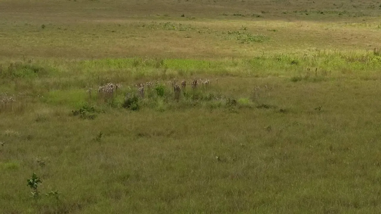 Farm for sale of 2,582 acres in Alto Alegre, RR, Brazil