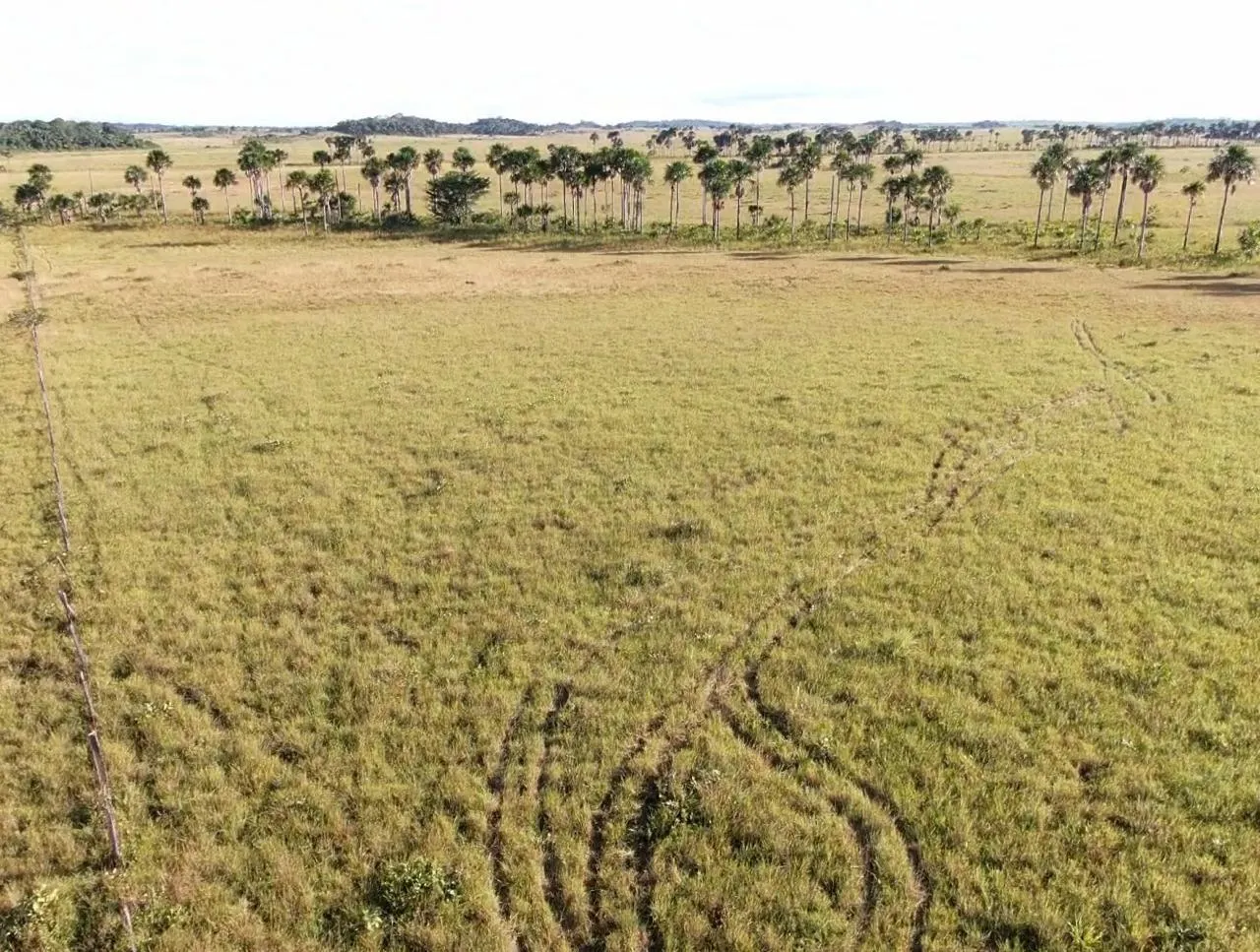 Farm for sale of 2,582 acres in Alto Alegre, RR, Brazil