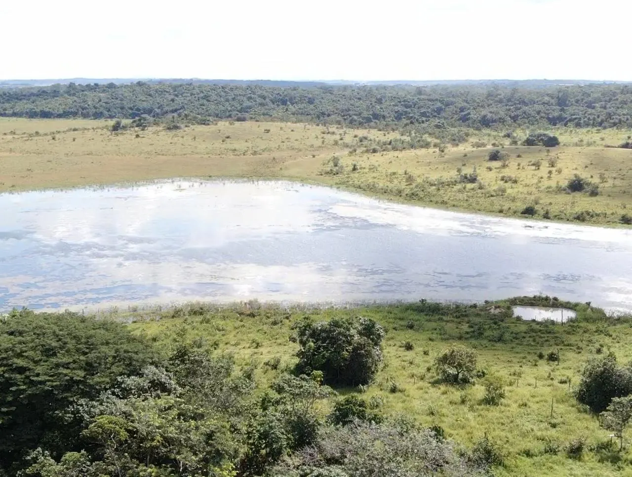 Farm for sale of 2,582 acres in Alto Alegre, RR, Brazil