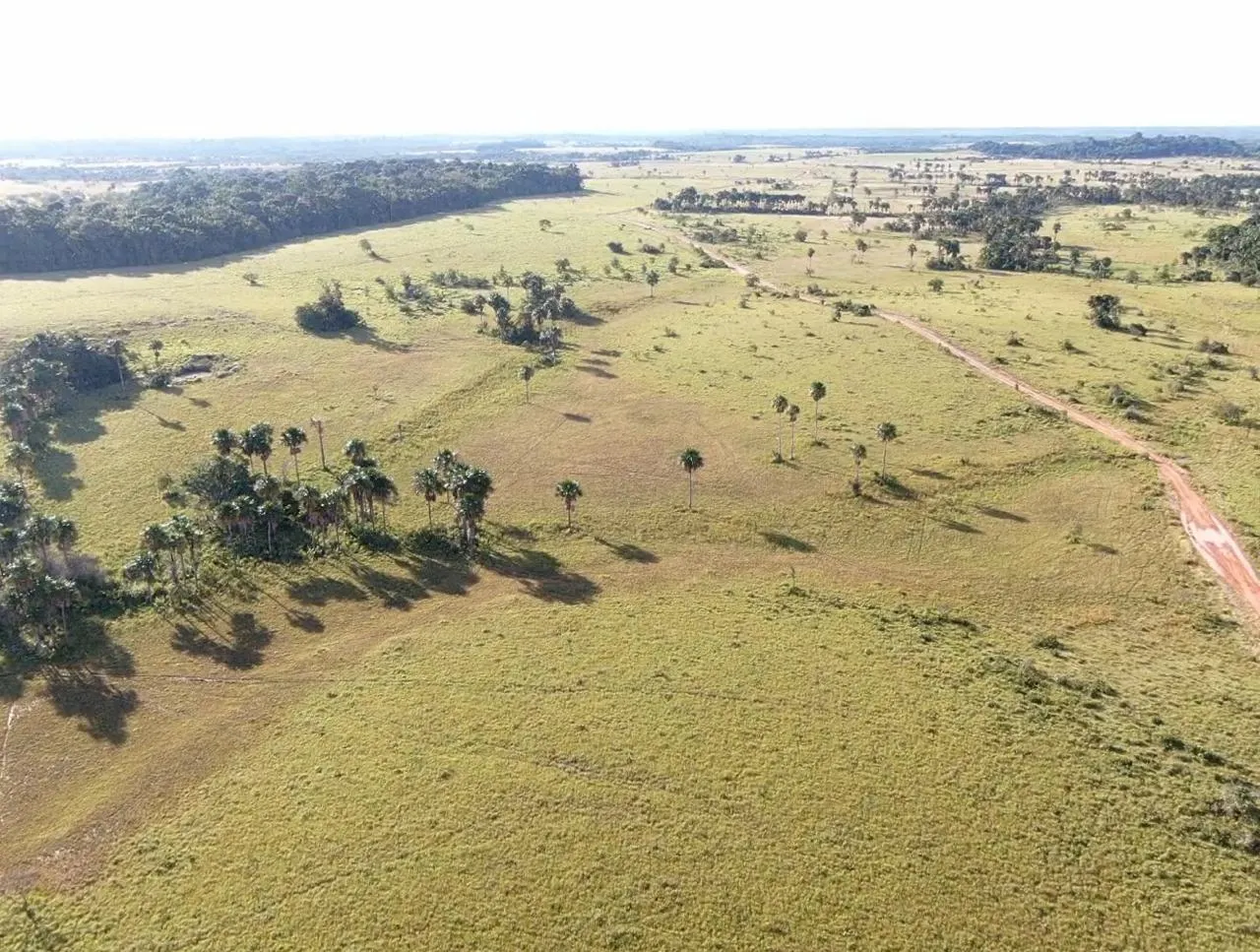 Farm for sale of 2,582 acres in Alto Alegre, RR, Brazil