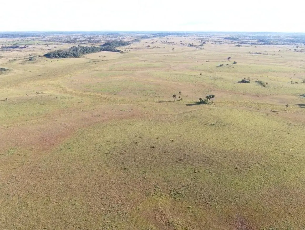 Farm for sale of 2,582 acres in Alto Alegre, RR, Brazil