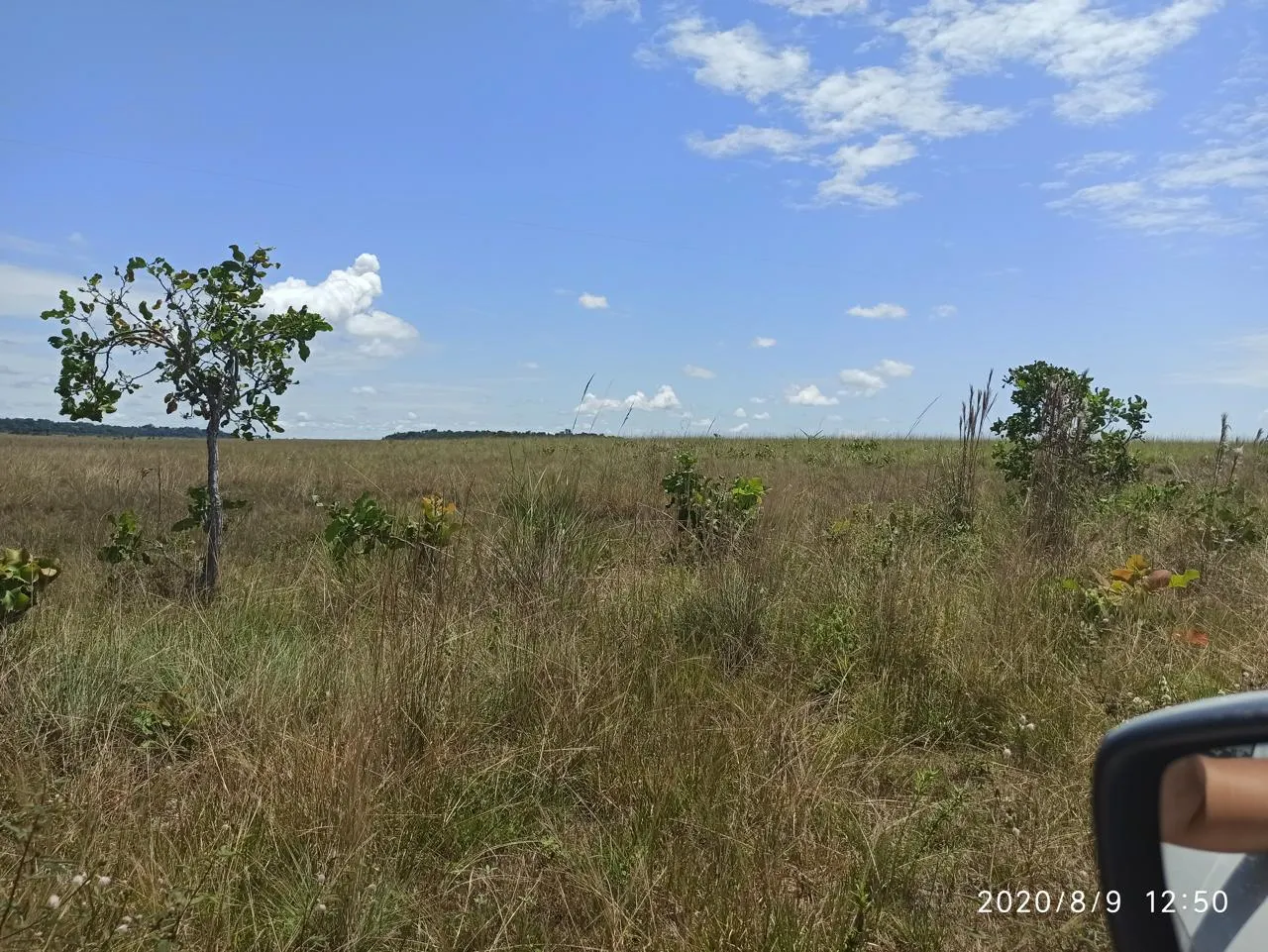Farm for sale of 2,582 acres in Alto Alegre, RR, Brazil