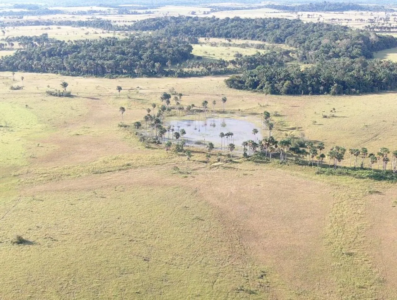 Farm for sale of 2,582 acres in Alto Alegre, RR, Brazil