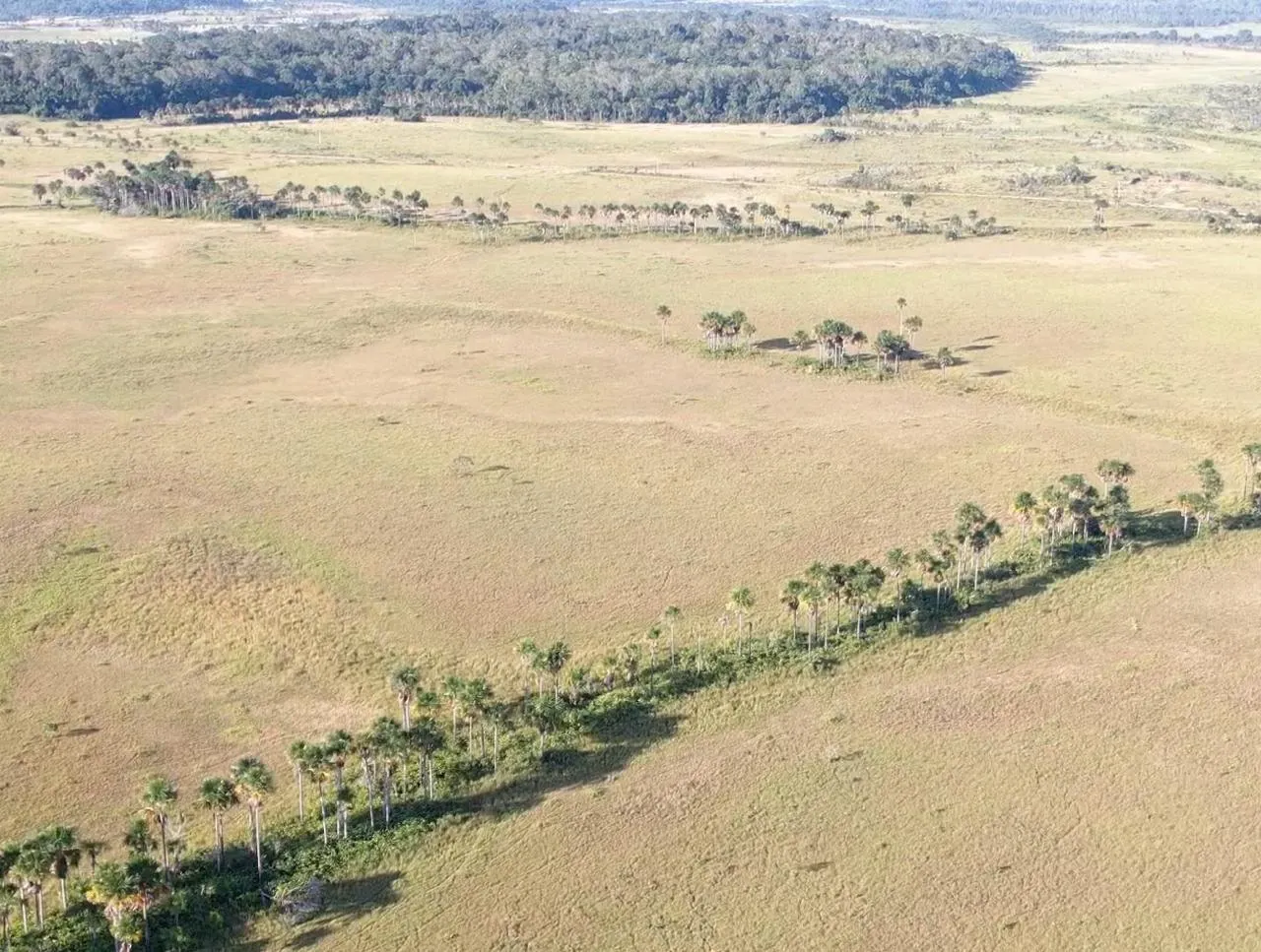 Farm for sale of 2,582 acres in Alto Alegre, RR, Brazil
