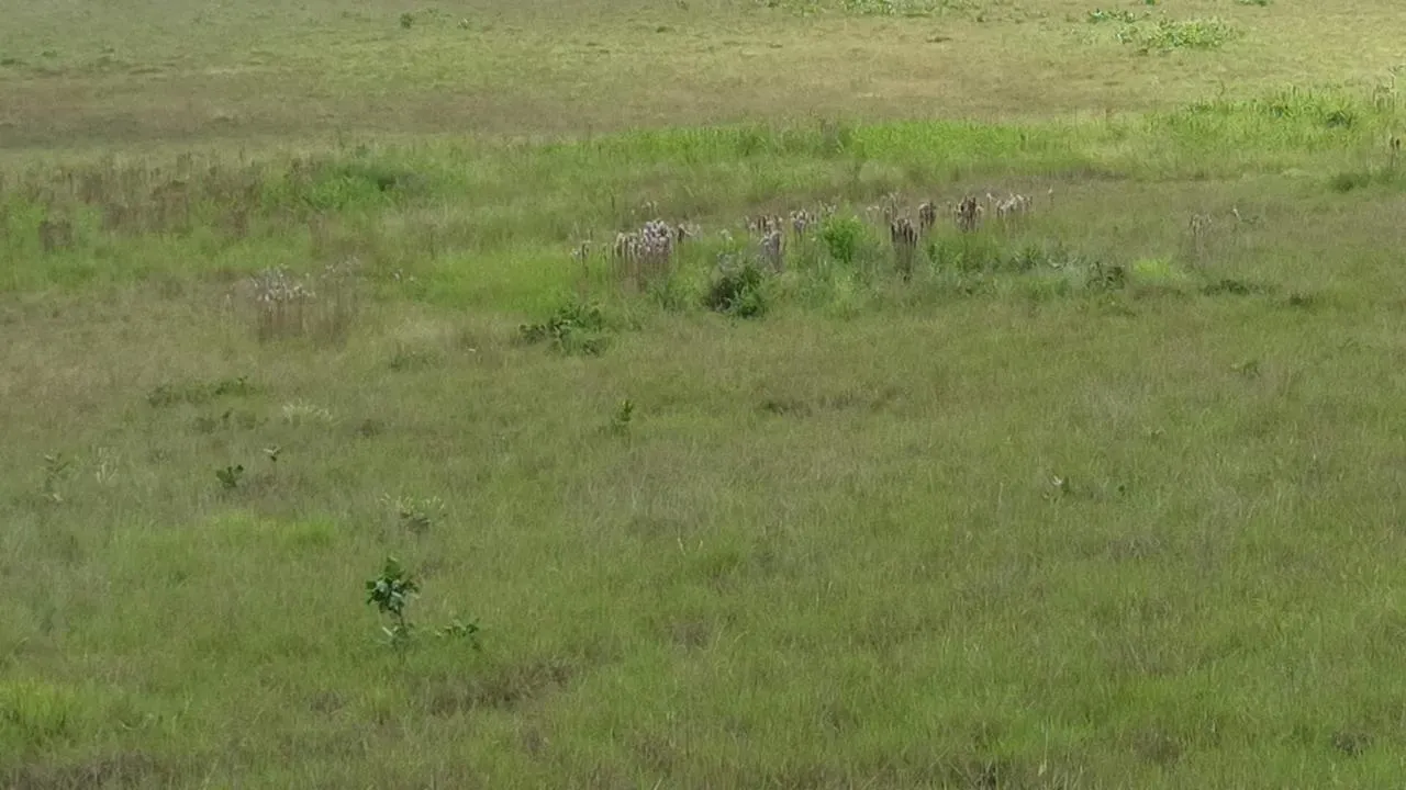 Farm for sale of 2,582 acres in Alto Alegre, RR, Brazil