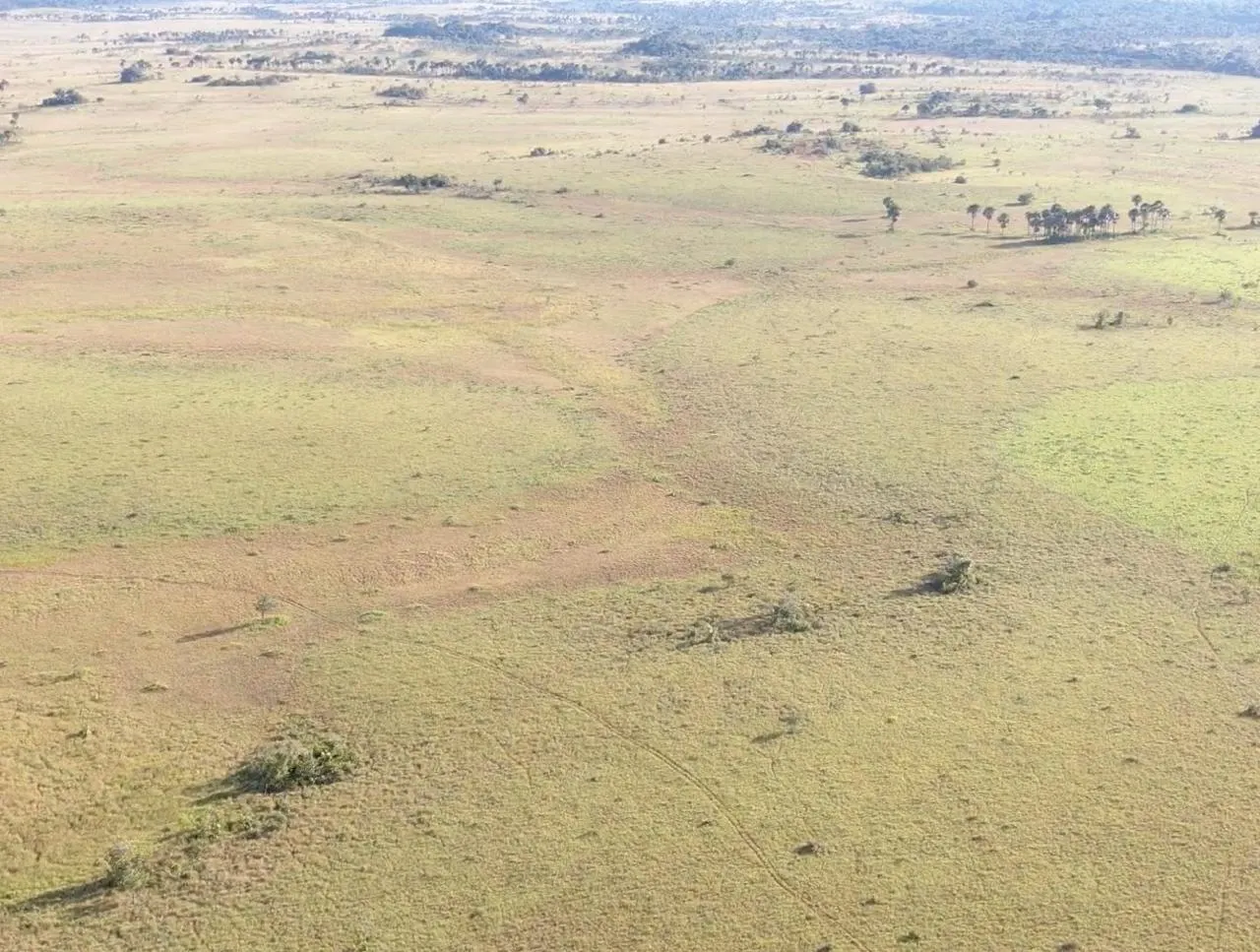 Farm for sale of 2,582 acres in Alto Alegre, RR, Brazil