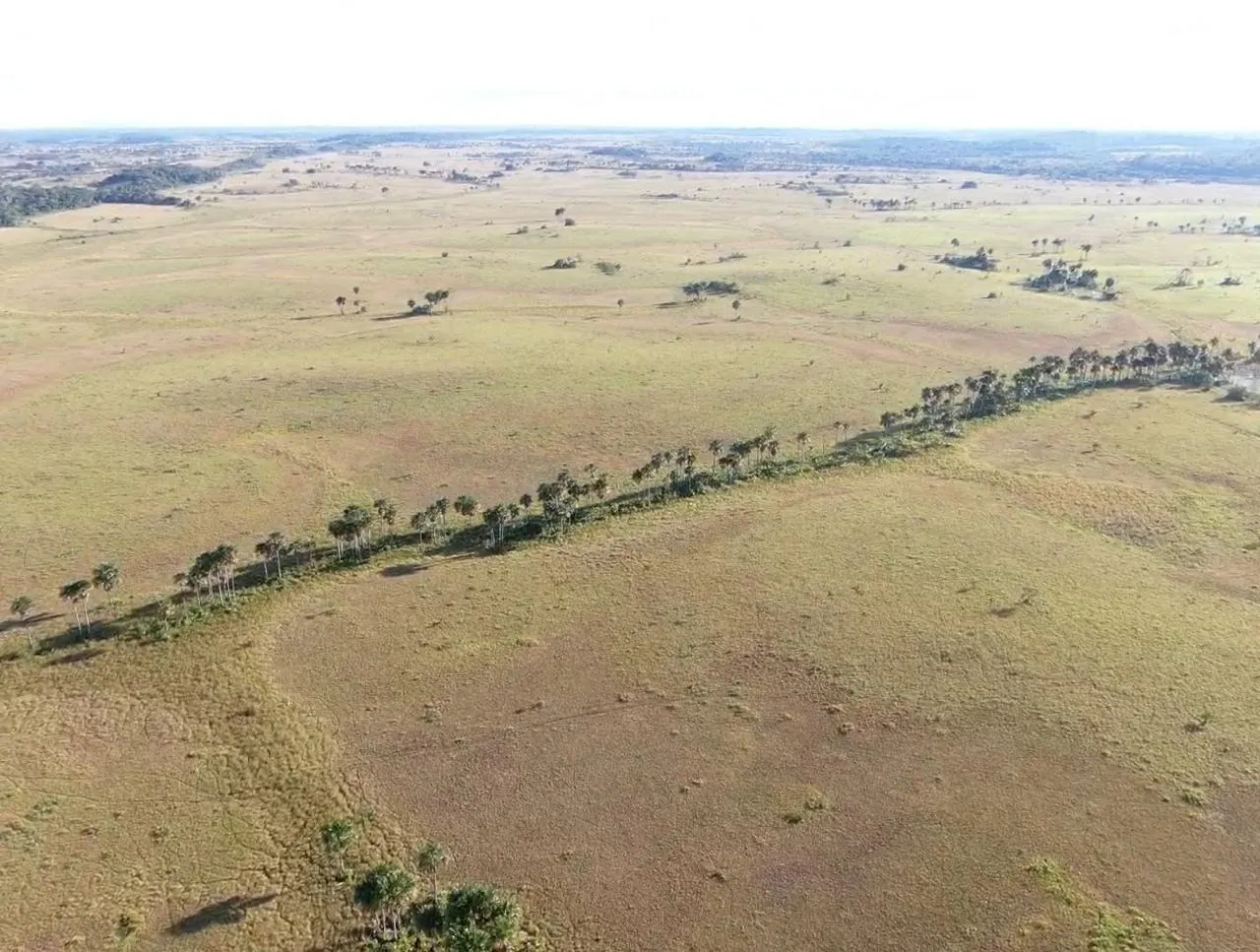 Farm for sale of 2,582 acres in Alto Alegre, RR, Brazil
