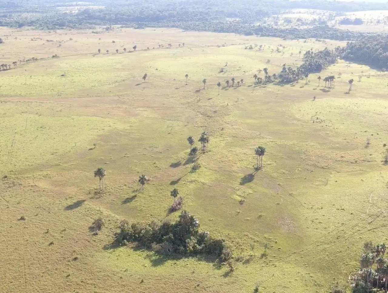 Farm for sale of 2,582 acres in Alto Alegre, RR, Brazil