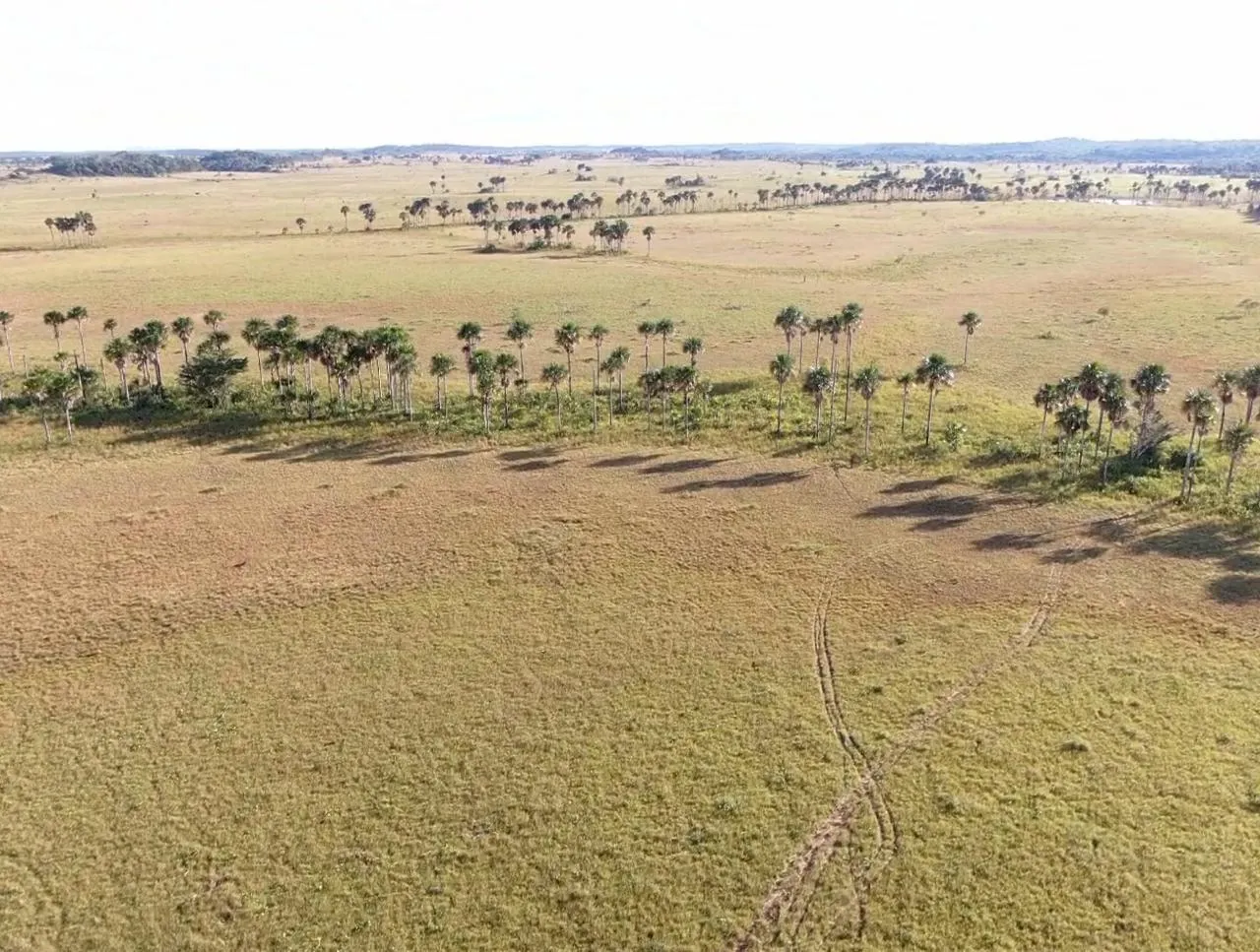 Farm for sale of 2,582 acres in Alto Alegre, RR, Brazil