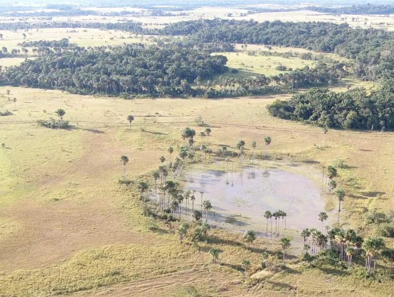 Farm for sale of 2,582 acres in Alto Alegre, RR, Brazil