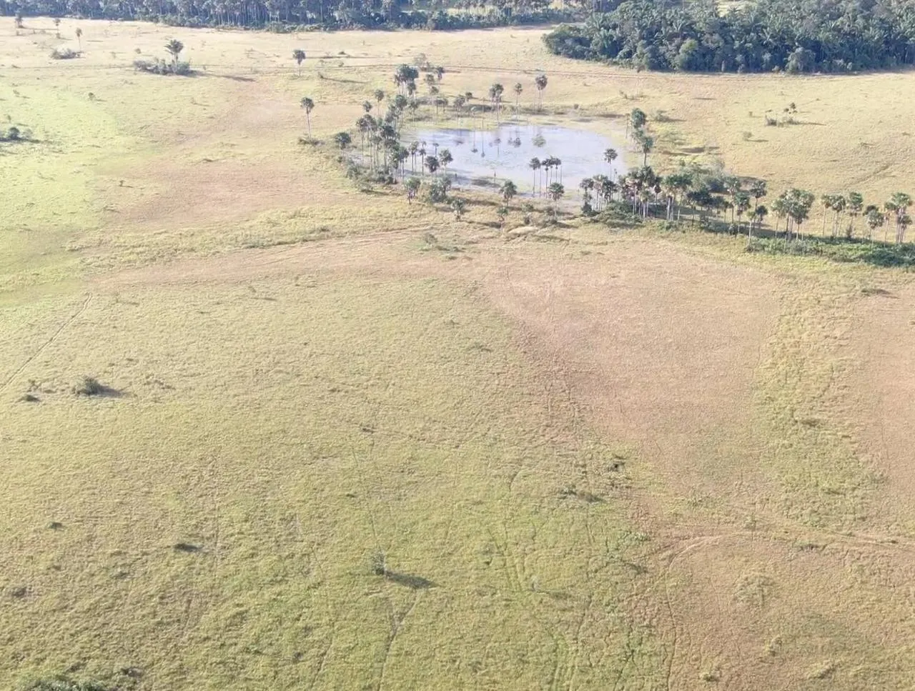 Farm for sale of 2,582 acres in Alto Alegre, RR, Brazil