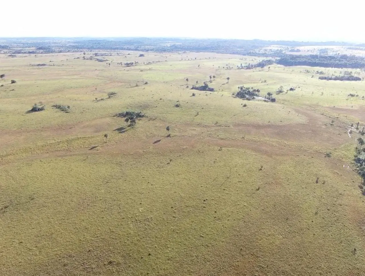 Farm for sale of 2,582 acres in Alto Alegre, RR, Brazil