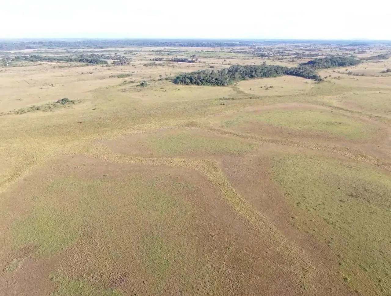 Farm for sale of 2,582 acres in Alto Alegre, RR, Brazil
