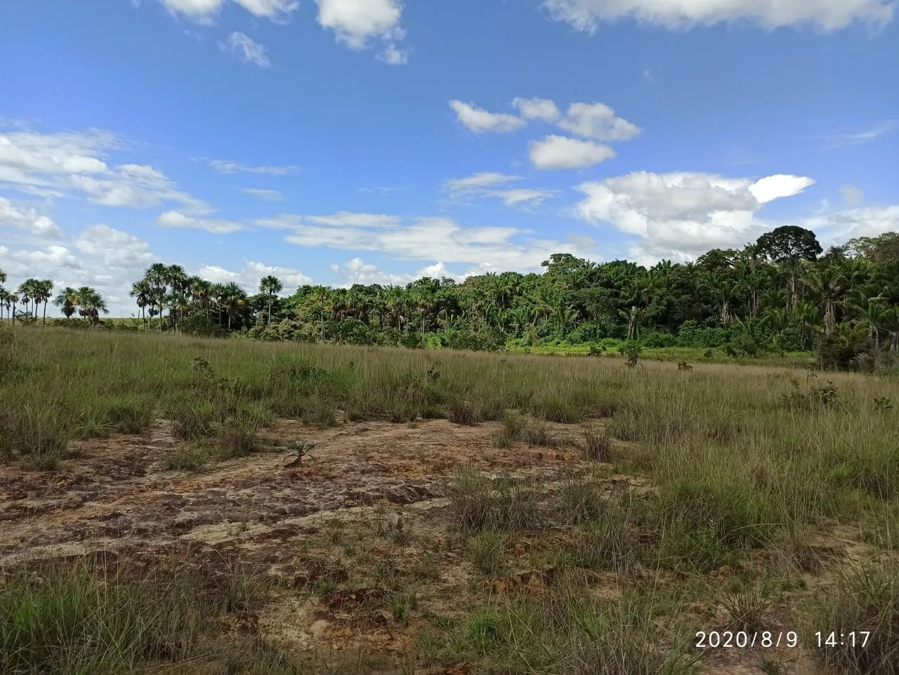 Farm for sale of 2,582 acres in Alto Alegre, RR, Brazil