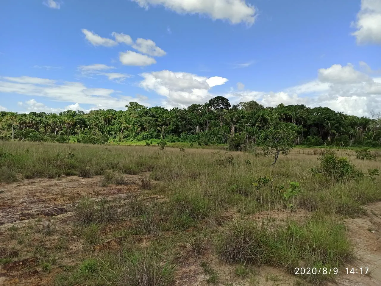 Farm for sale of 2,582 acres in Alto Alegre, RR, Brazil
