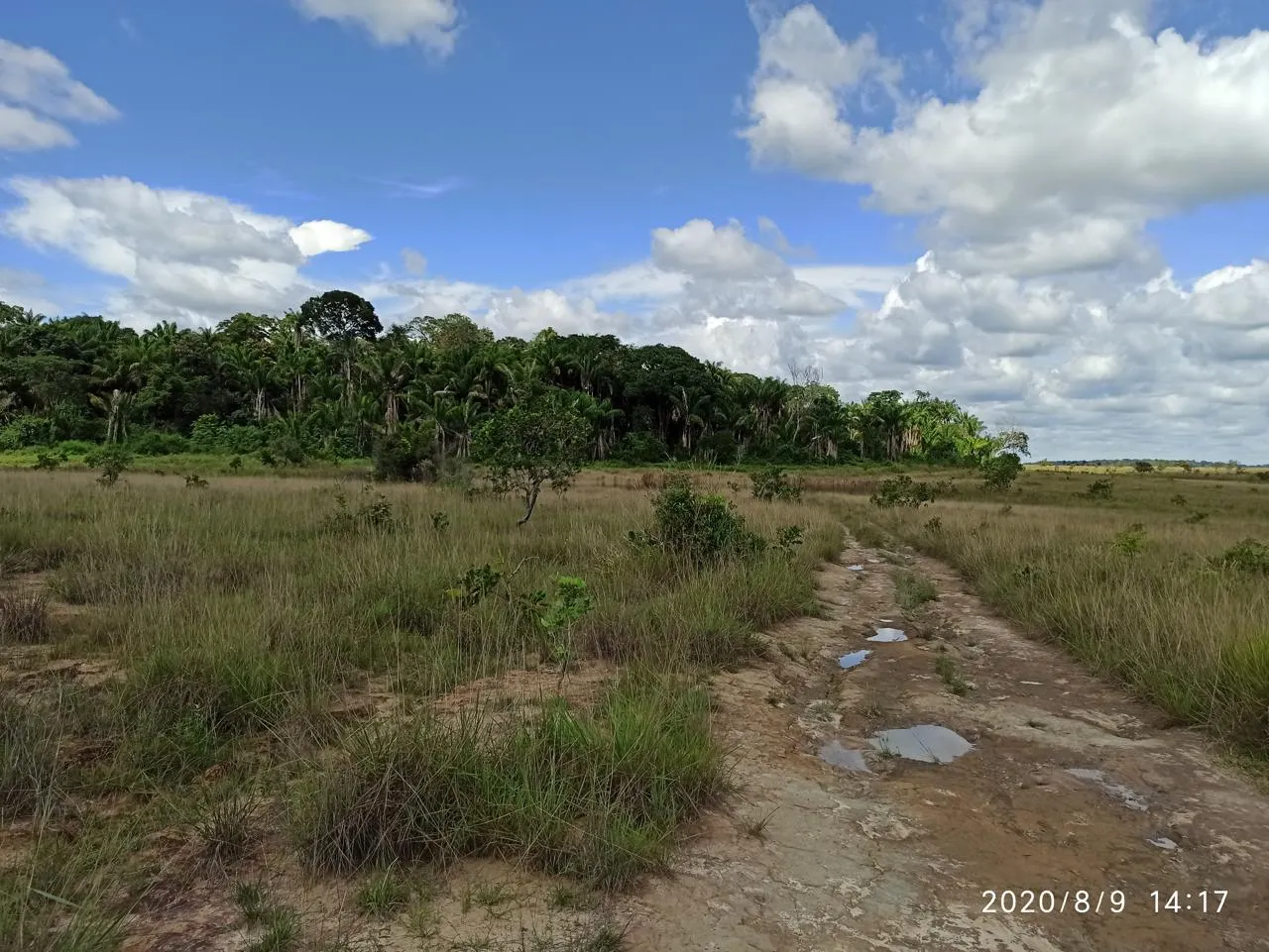 Farm for sale of 2,582 acres in Alto Alegre, RR, Brazil