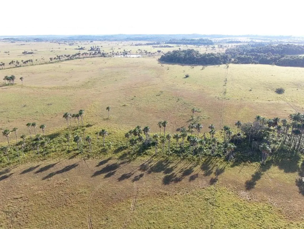 Farm for sale of 2,582 acres in Alto Alegre, RR, Brazil