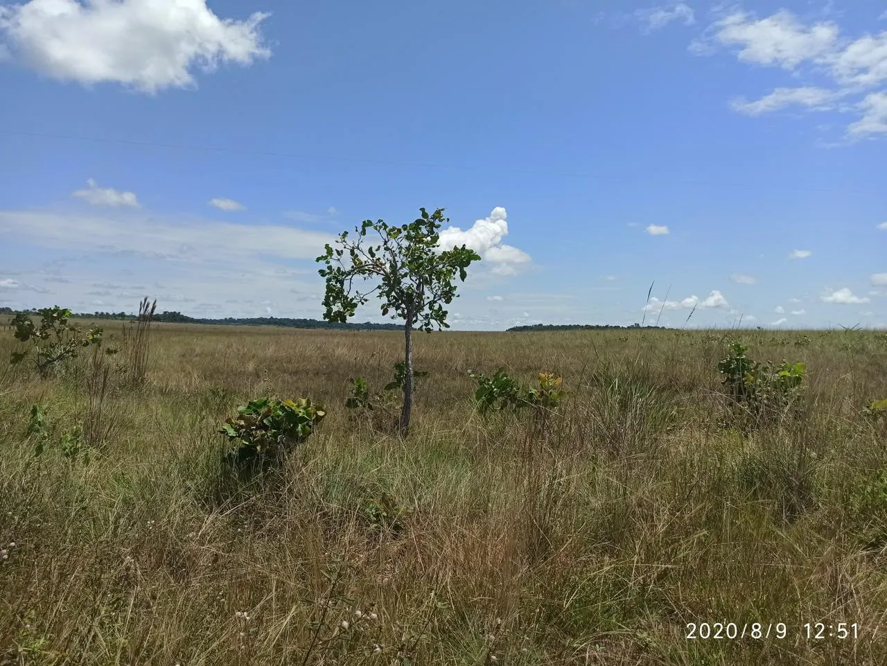 Farm for sale of 2,582 acres in Alto Alegre, RR, Brazil