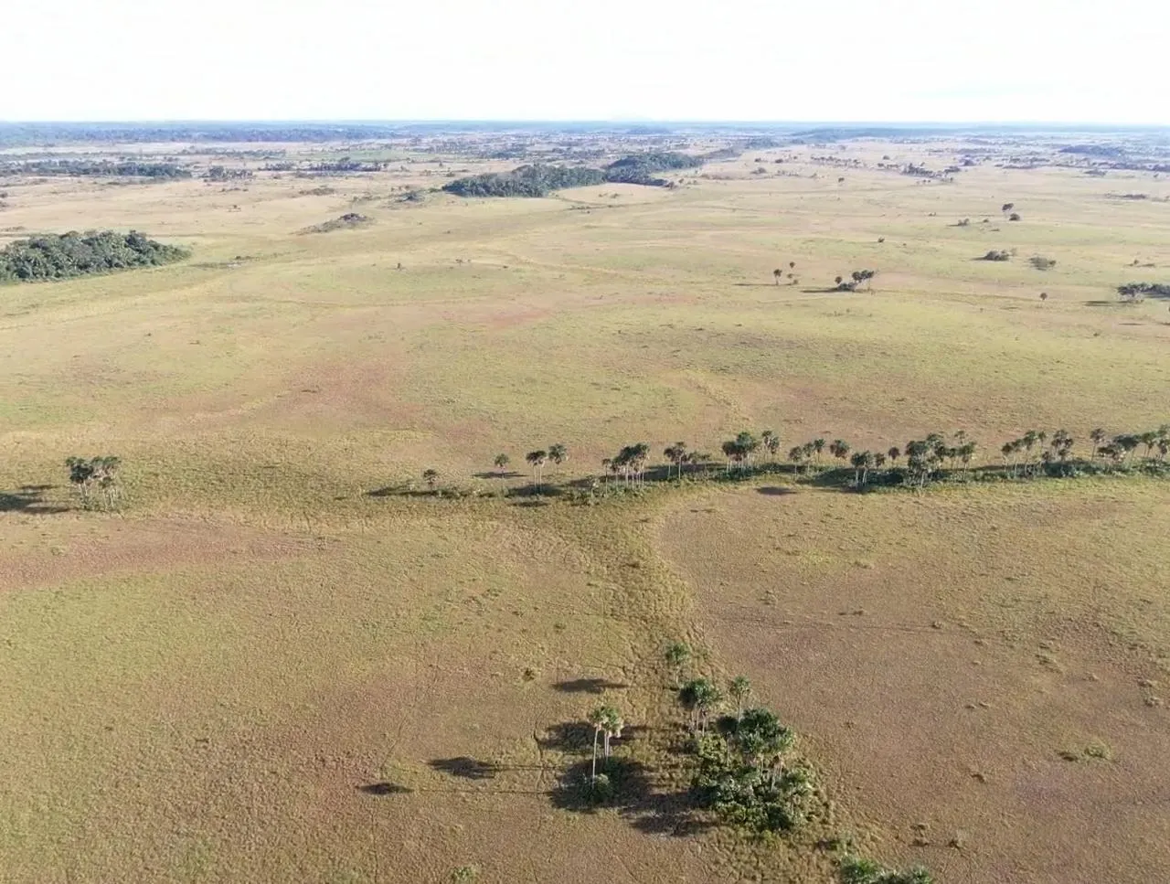 Farm for sale of 2,582 acres in Alto Alegre, RR, Brazil