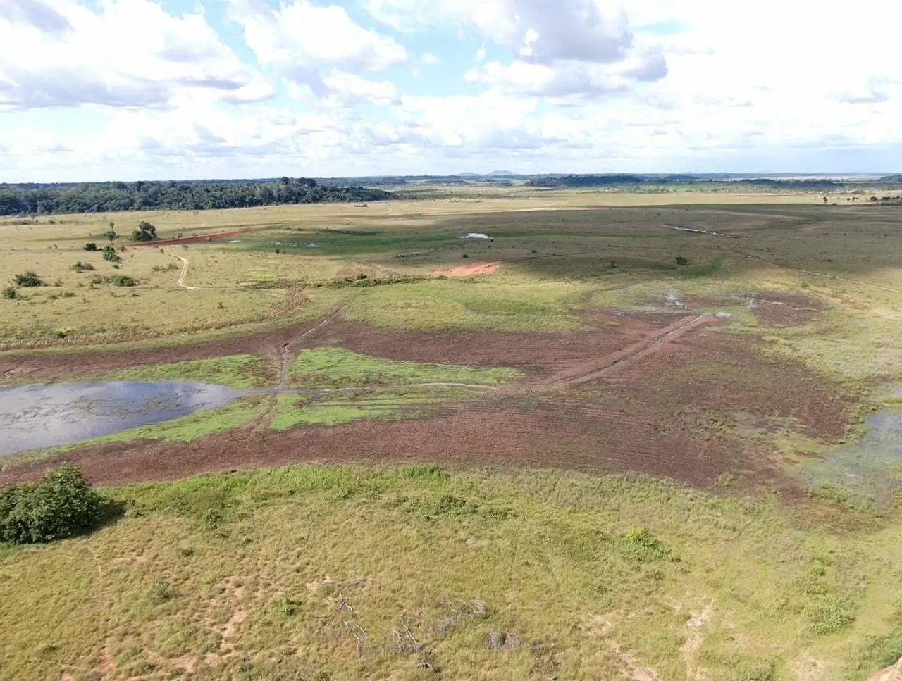 Farm for sale of 2,582 acres in Alto Alegre, RR, Brazil