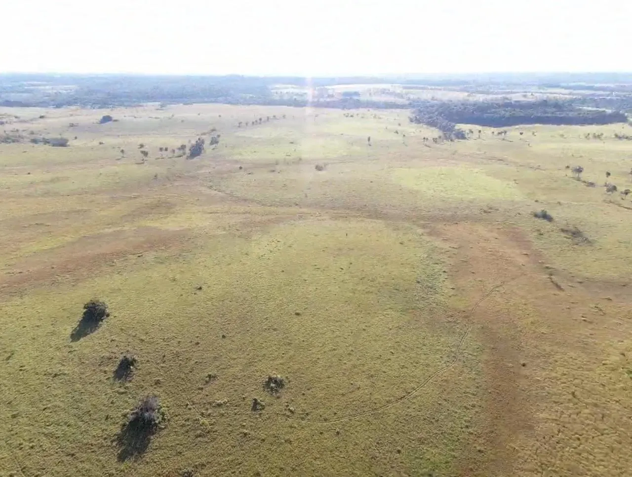 Farm for sale of 2,582 acres in Alto Alegre, RR, Brazil