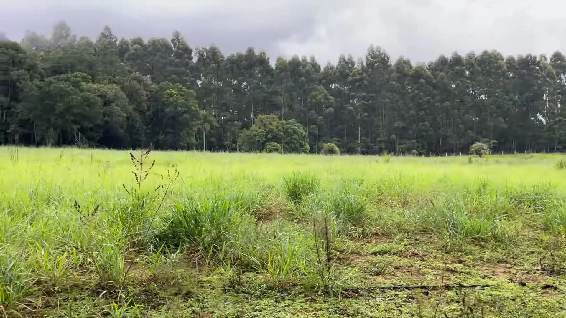 Chácara à venda de 4.400 m² em Torres, RS, Brasil