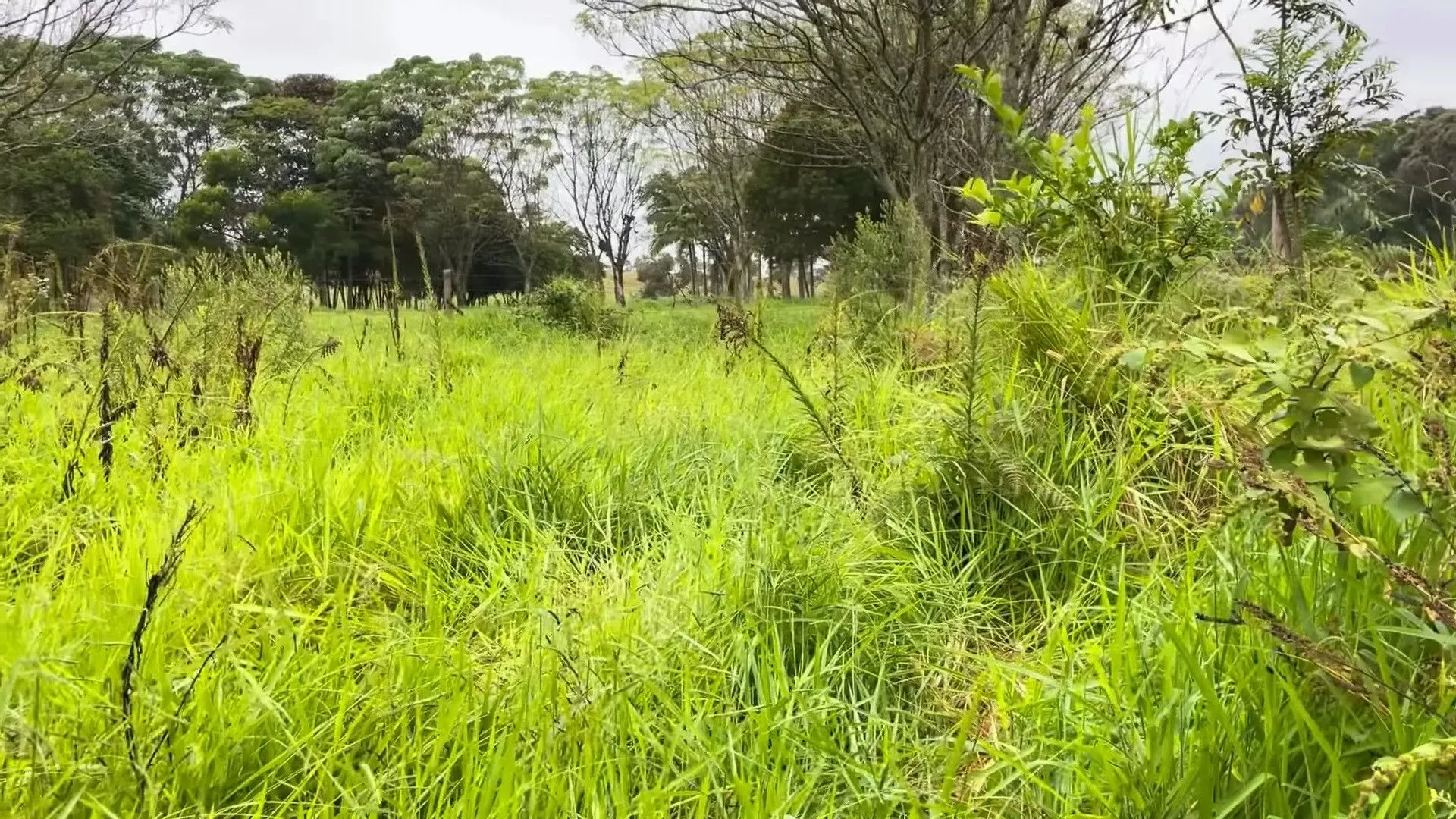 Chácara à venda de 4.400 m² em Torres, RS, Brasil