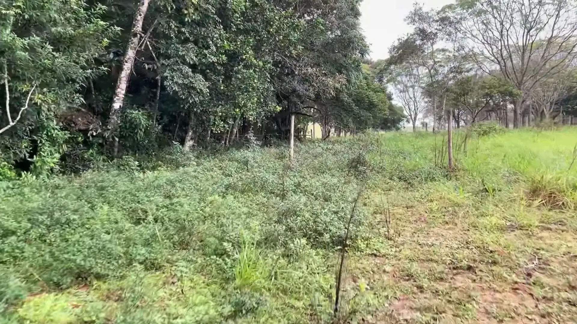 Chácara à venda de 4.400 m² em Torres, RS, Brasil