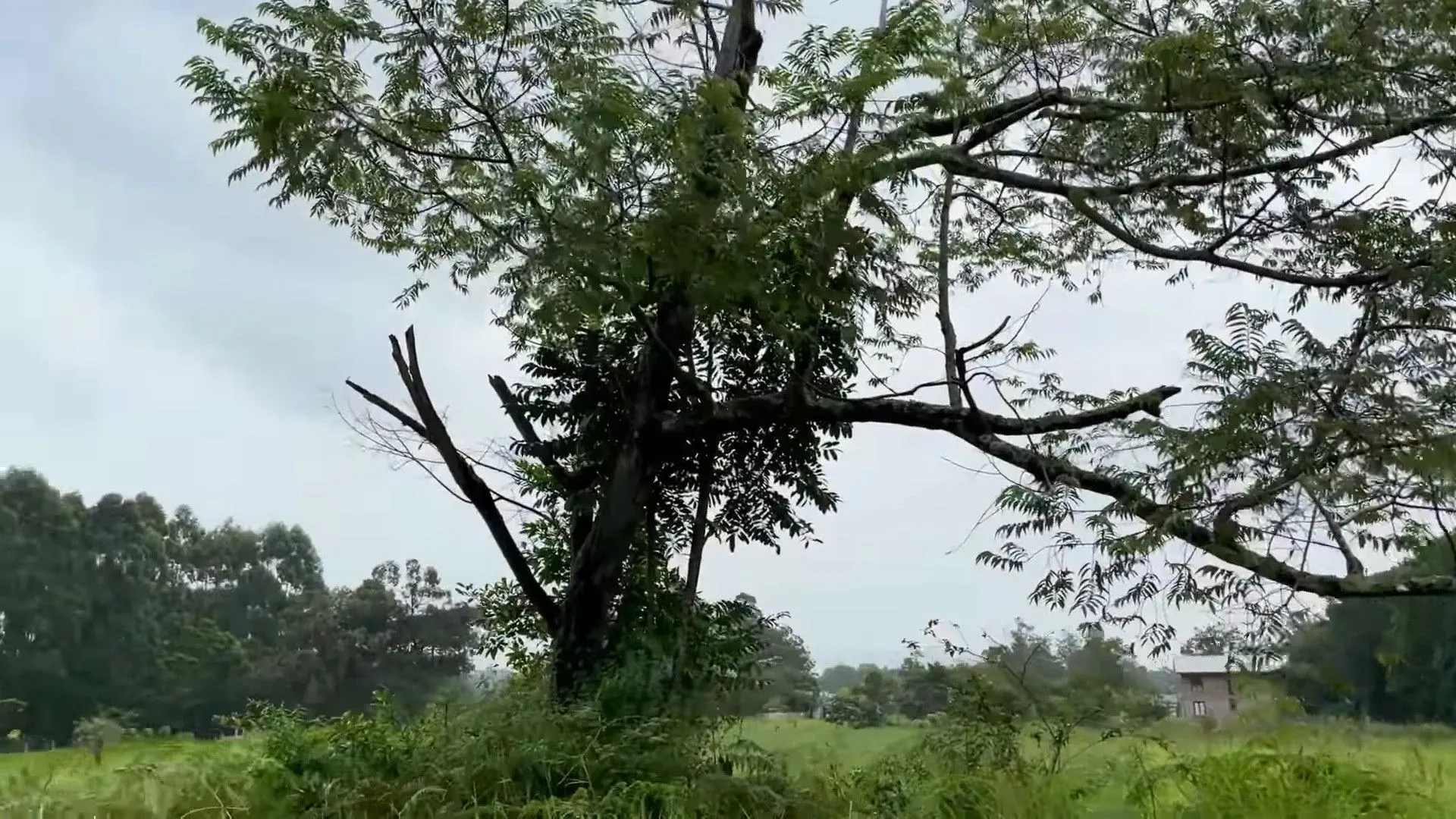 Chácara à venda de 4.400 m² em Torres, RS, Brasil