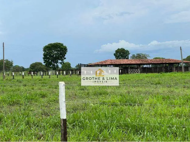 Fazenda à venda de 10.933 ha em Formoso do Araguaia, TO, Brasil