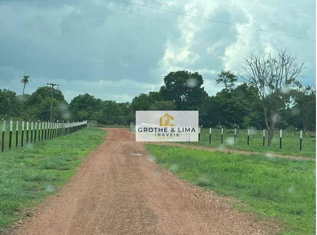 Fazenda à venda de 10.933 ha em Formoso do Araguaia, TO, Brasil