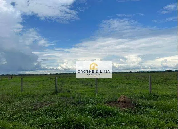 Fazenda à venda de 10.933 ha em Formoso do Araguaia, TO, Brasil