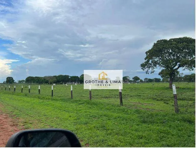 Fazenda à venda de 10.933 ha em Formoso do Araguaia, TO, Brasil