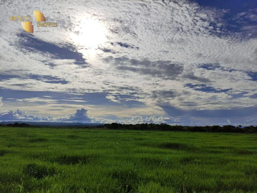 Fazenda à venda de 980 ha em Chapada dos Guimarães, MT, Brasil