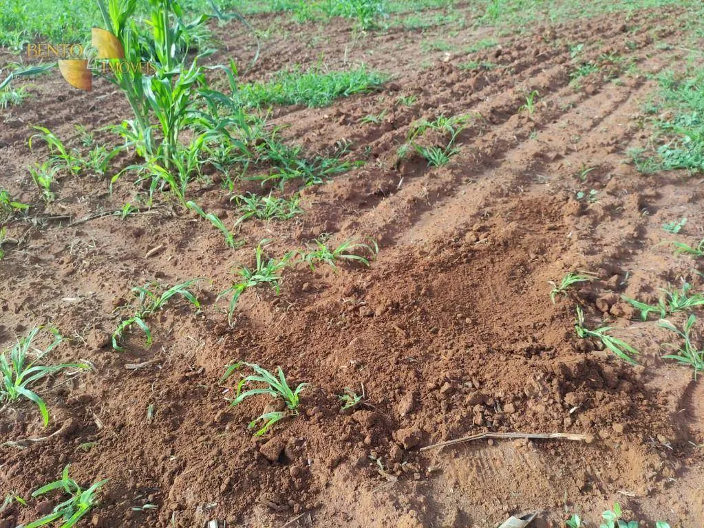 Fazenda à venda de 980 ha em Chapada dos Guimarães, MT, Brasil
