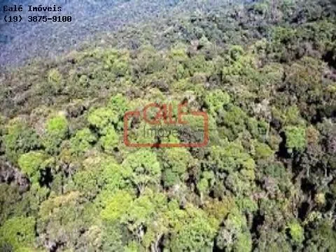 Fazenda à venda de 500 ha em Cananéia, SP, Brasil