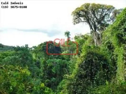 Fazenda à venda de 500 ha em Cananéia, SP, Brasil