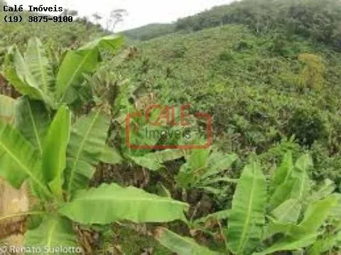 Fazenda à venda de 500 ha em Cananéia, SP, Brasil