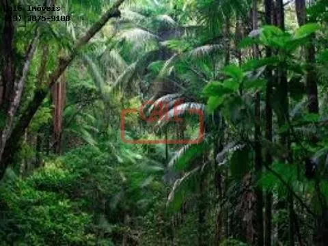 Fazenda à venda de 500 ha em Cananéia, SP, Brasil