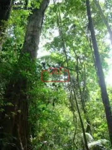 Fazenda à venda de 500 ha em Cananéia, SP, Brasil