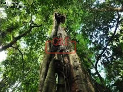 Fazenda à venda de 500 ha em Cananéia, SP, Brasil