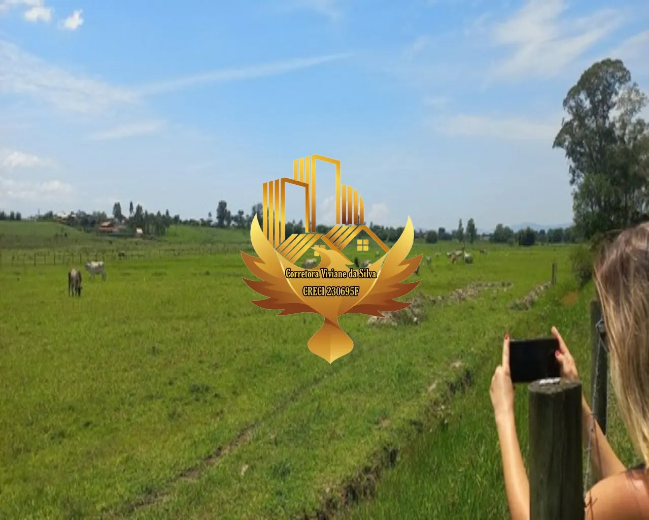 Plot for sale of 5 acres in Pindamonhangaba, SP, Brazil