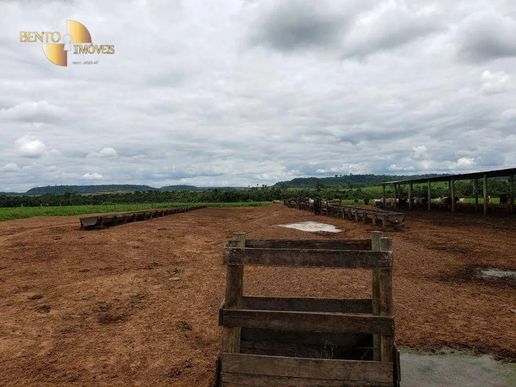 Fazenda à venda e para Arrendar de 13.000 ha em Sinop, MT, Brasil