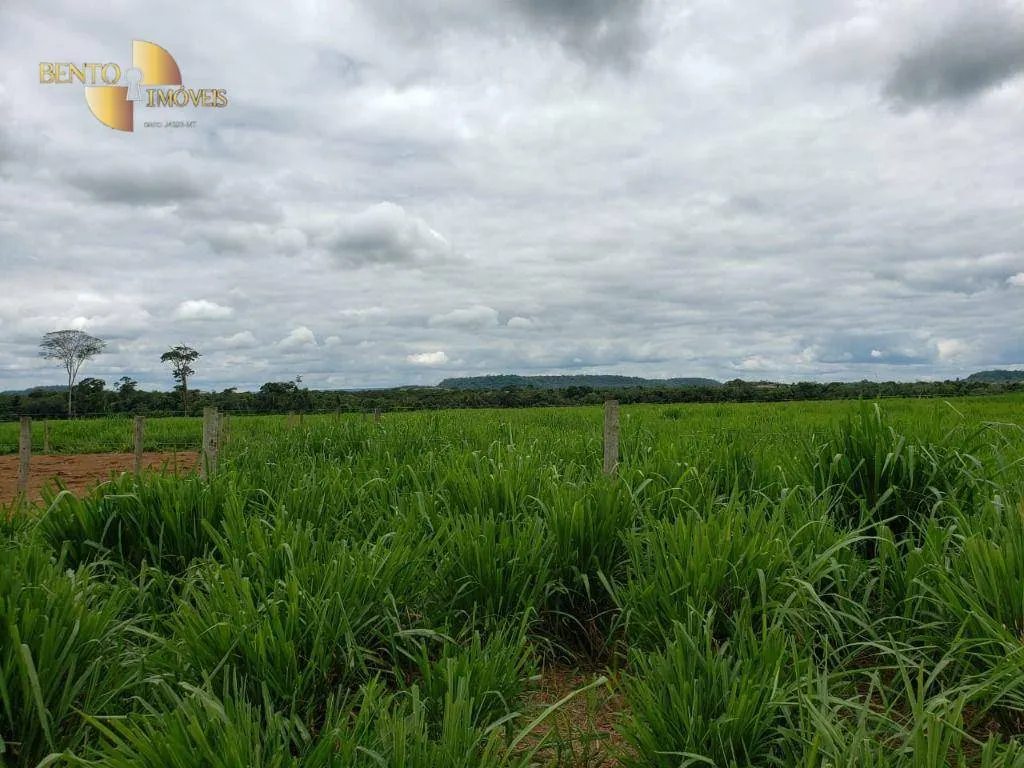 Fazenda à venda e para Arrendar de 13.000 ha em Sinop, MT, Brasil