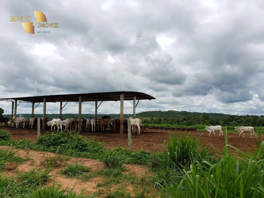 Fazenda à venda e para Arrendar de 13.000 ha em Sinop, MT, Brasil