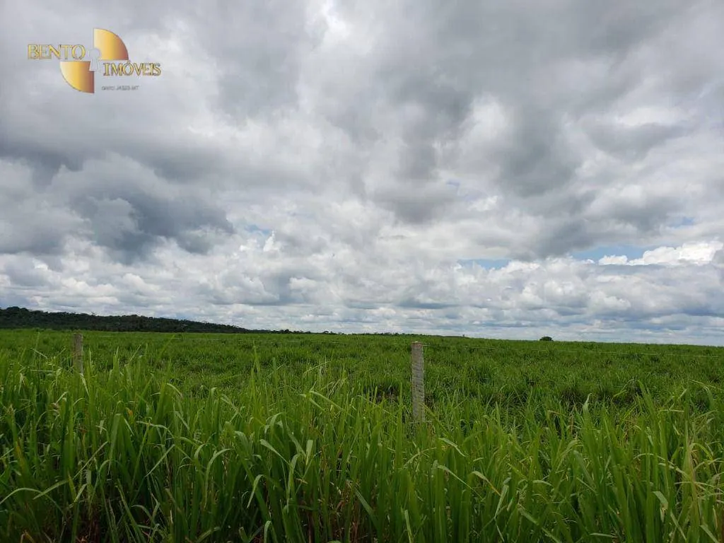 Fazenda à venda e para Arrendar de 13.000 ha em Sinop, MT, Brasil