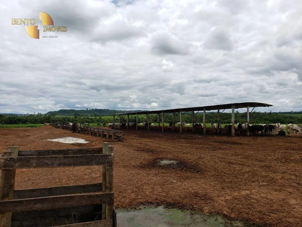 Fazenda à venda e para Arrendar de 13.000 ha em Sinop, MT, Brasil