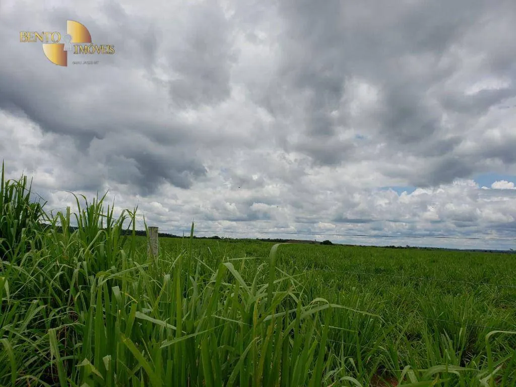 Fazenda à venda e para Arrendar de 13.000 ha em Sinop, MT, Brasil